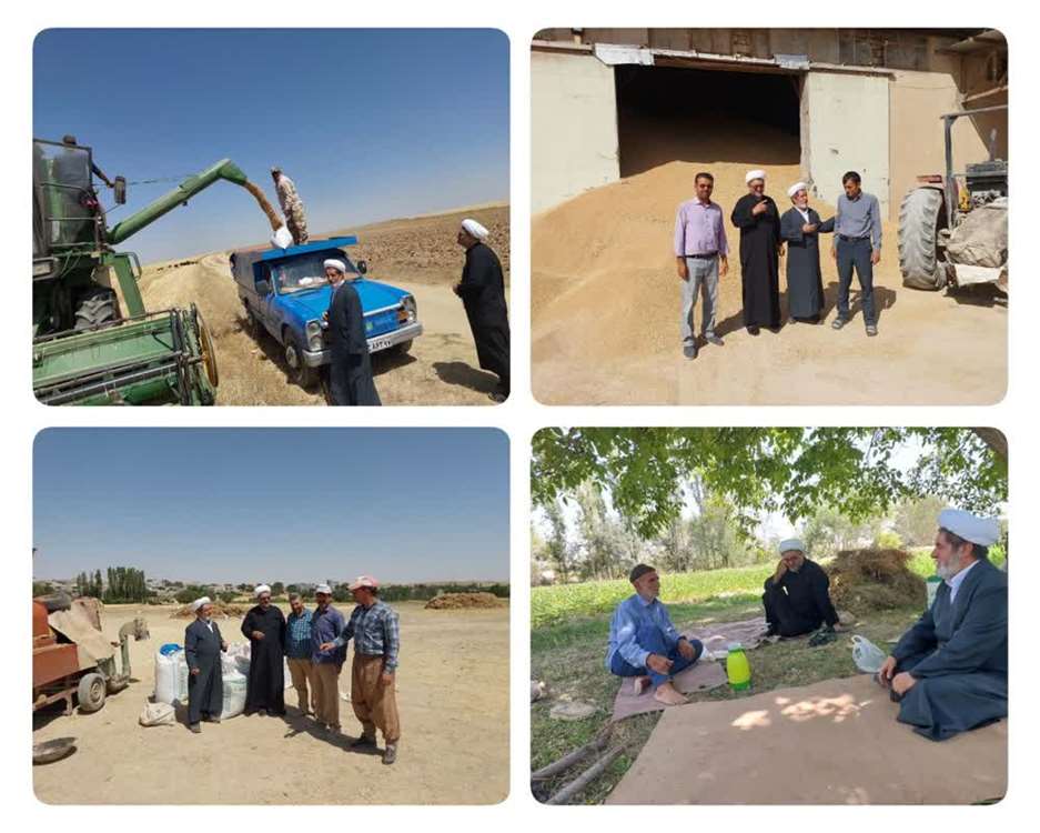 بازدید میدانی از مزارع گندم شهرستان خدابنده